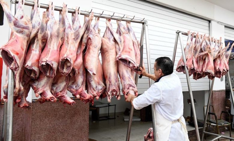 مهنيون: أسعار لحوم الأغنام تنخفض بـ 57% والأبقار بـ 30% في المغرب مهنيون: أسعار لحوم الأغنام تنخفض بـ 57% والأبقار بـ 30% في المغرب