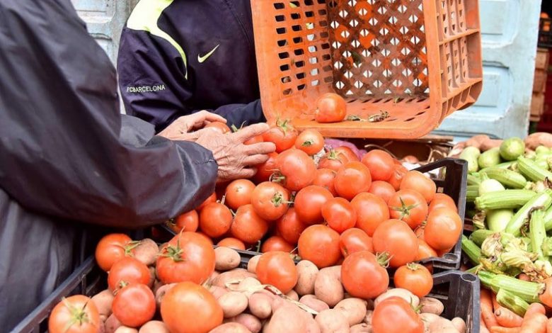 نهاية موسم الجني بسوس تلهب أسعار الطماطم في الأسواق المغربية
