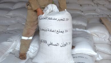 وزارة الفلاحة تكشف تفاصيل دعم مربي الماشية في مواجهة أزمة الجفاف
