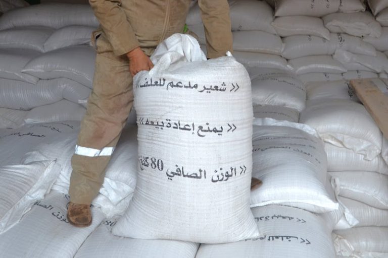 وزارة الفلاحة تكشف تفاصيل دعم مربي الماشية في مواجهة أزمة الجفاف