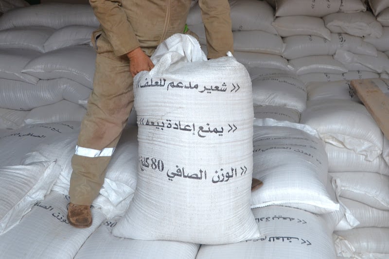 وزارة الفلاحة تكشف تفاصيل دعم مربي الماشية في مواجهة أزمة الجفاف وزارة الفلاحة تكشف تفاصيل دعم مربي الماشية في مواجهة أزمة الجفاف