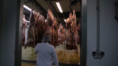 وزير الفلاحة يستعرض مخطط تأهيل 120 مجزرة معتمَدة في المغرب