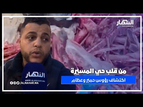 رؤوس حمير وعظام تُرعب سكان حي المسيرة.. وأحد السكان يروي ما حدث