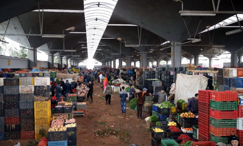 استعدادات عيد الأضحى تقفز بأسعار خضر وفواكه في أسواق الجملة استعدادات عيد الأضحى تقفز بأسعار خضر وفواكه في أسواق الجملة