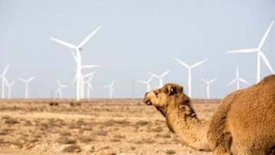 المغرب يراهن على ذراع جديدة في النجاعة الطاقية والتمويل الأخضر