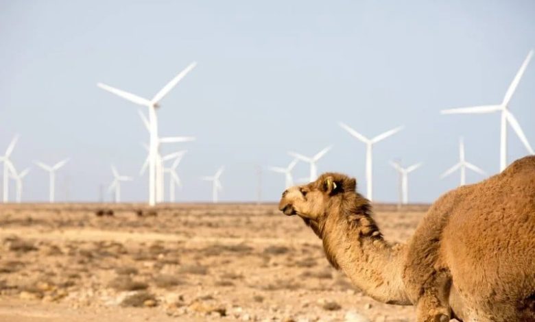 المغرب يراهن على ذراع جديدة في النجاعة الطاقية والتمويل الأخضر المغرب يراهن على ذراع جديدة في النجاعة الطاقية والتمويل الأخضر