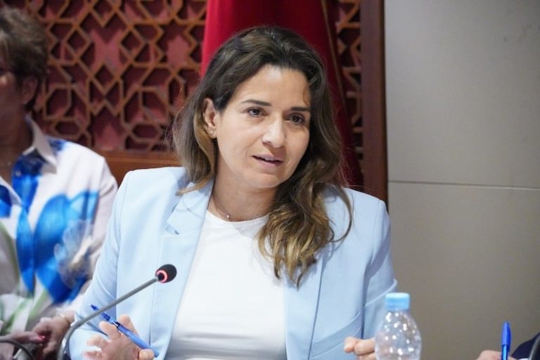 بنعلي تكشف منح المغرب لـ 136 رخصة لاستيراد المواد القابلة للتدوير