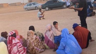 تحالف: الجزائر تحتجز آلاف الصحراويين