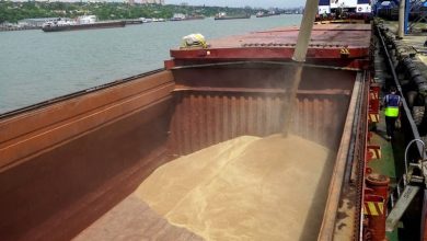 تطورات الحرب الروسية الأوكرانية تهدد خطط استيراد القمح في المغرب