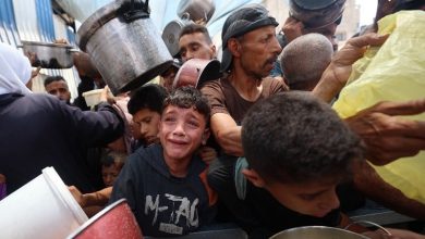 تنديد أممي بقتل "جوعى قطاع غزة"