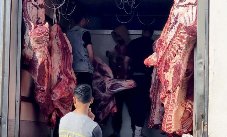 مغاربة وبرازيليون يبحثون تعزيز التعاون في استيراد الماشية واللحوم مغاربة وبرازيليون يبحثون تعزيز التعاون في استيراد الماشية واللحوم