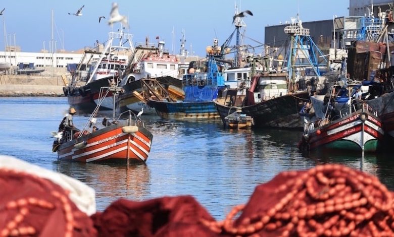 مهنيو الصيد التقليدي يحتجون على "التهميش" في اليوم العالمي للبحارة مهنيو الصيد التقليدي يحتجون على