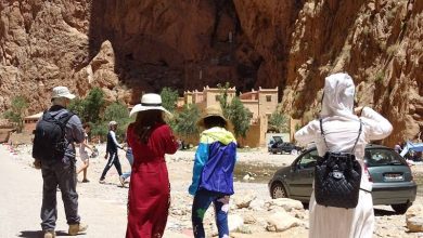 مهنيون يتوقعون
