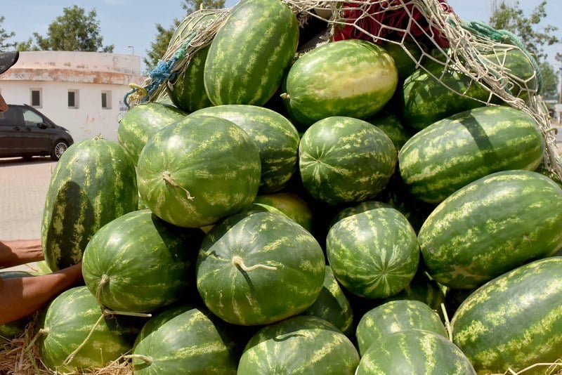 الضغوط تتزايد على المصدرين المغاربة مع ركود سوق