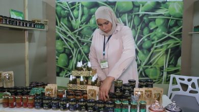 منتج الكبّار .. تعاونيات تبدع طرقا جديدة للتثمين وأقاليم تتلمّس الطريق