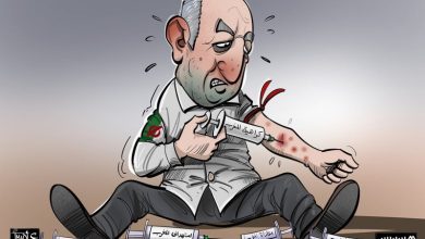 أحقاد العسكر الجزائري تحذف اسم المغرب من شعار "كأس إفريقيا للسيدات"