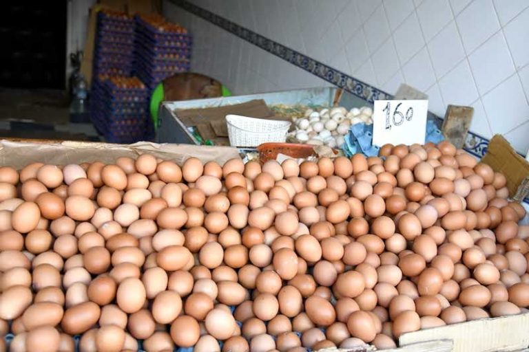 ارتفاع أسعار البيض في أسواق المغرب يشعل الجدل بين المنتجين والموزعين