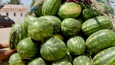 الضغوط تتزايد على المصدرين المغاربة مع ركود سوق