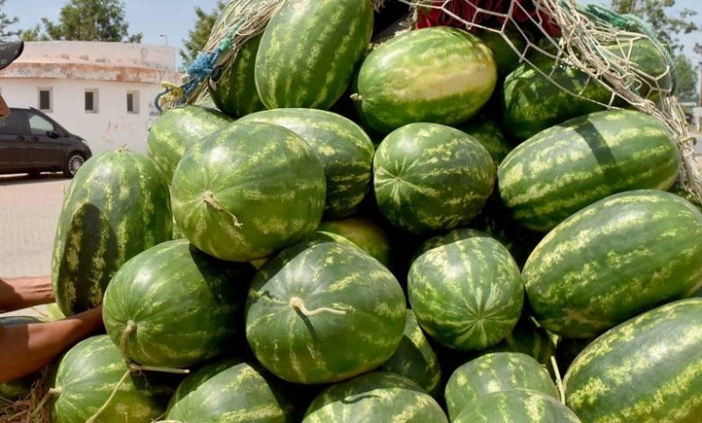 الضغوط تتزايد على المصدرين المغاربة مع ركود سوق "الدلاح" في أوروبا الضغوط تتزايد على المصدرين المغاربة مع ركود سوق