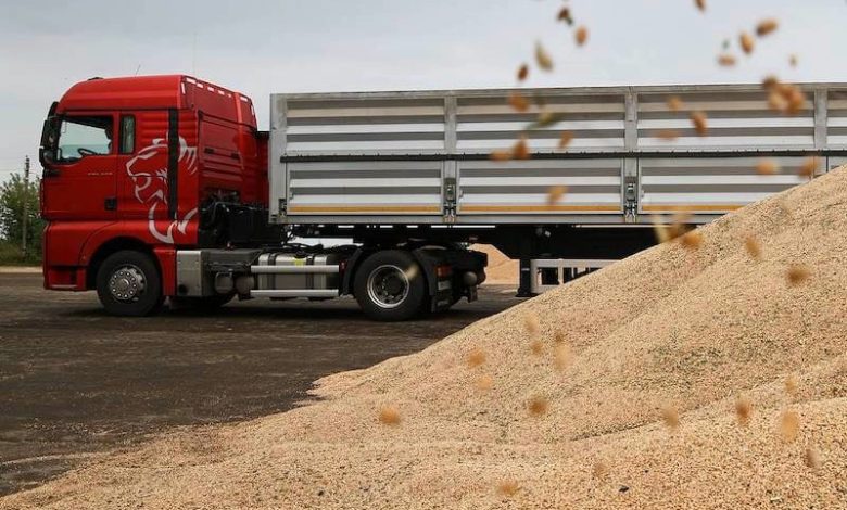 المغرب يضاعف حصة القمح الروسي المغرب يضاعف حصة القمح الروسي