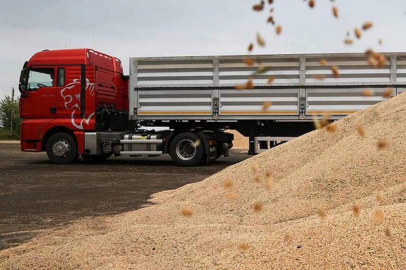 المغرب يضاعف حصة القمح الروسي المغرب يضاعف حصة القمح الروسي
