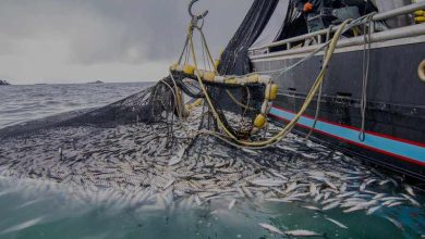بيانات رسمية: المغرب ثالث مورد للمنتجات الزراعية والسمكية إلى إسبانيا