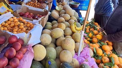 تجار الجملة يرجعون غلاء الفواكه الموسمية إلى
