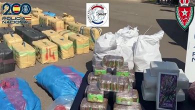 تعاون مغربي-أوروبي يطيح بشبكة دولية لتهريب الحشيش عبر ميناء ألميريا