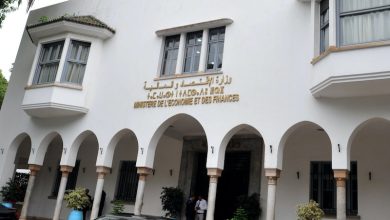 تقرير رسمي: 90 بالمائة من ملك الدولة الخاص يتركز في العالم القروي