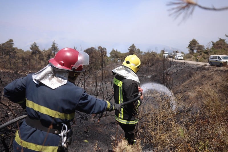 سوريا تسيطر على معظم حرائق الغابات