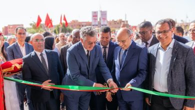 "لابيل في" يدعم التشغيل في تنغير