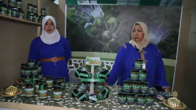 "معرض الكبّار" ينطلق بآسفي .. صدارة عالمية وتكيّف مع التغيرات المناخية
