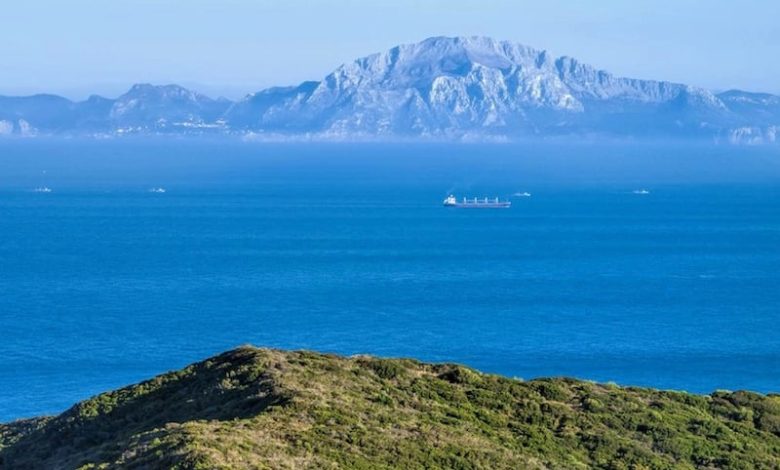 من "الربط القاري" إلى تحديث العاصمة .. المغرب يلتزم بمشاريع استراتيجية من