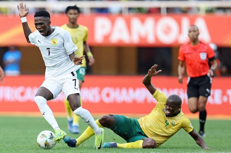جنوب إفريقيا تهزم غينيا في "الشان"