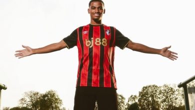 مدير بورنموث يأمل خيرا في عدلي