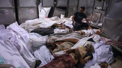 مقتل 19 فلسطينيا بنيران إسرائيلية