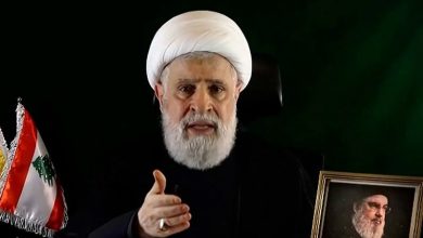 نواب يقاضون الأمين العام لحزب الله