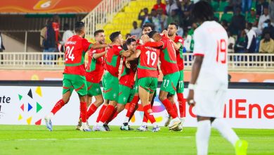 وكلاء أجانب يراقبون "أسود البطولة"
