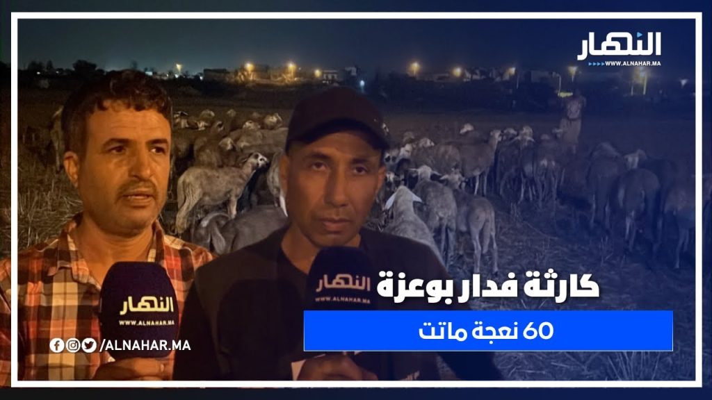 دار بوعزة.. نفوق غامض لـ60 نعجة والدرك مع “لونسا” يحققو!