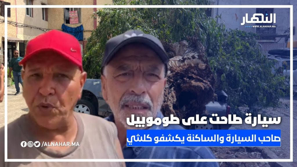 الحي الحسني: شجرة طاحت على طوموبيل.. وصاحب السيارة مع أحد الساكنة يرويان التفاصيل