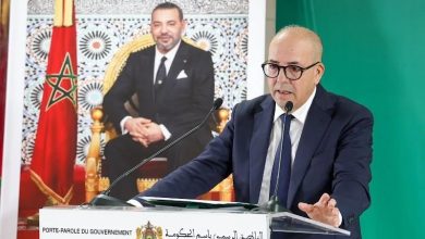 البواري: نتائج إحصاء القطيع تبرز أثر المبادرة الملكية في حماية الثروة الحيوانية