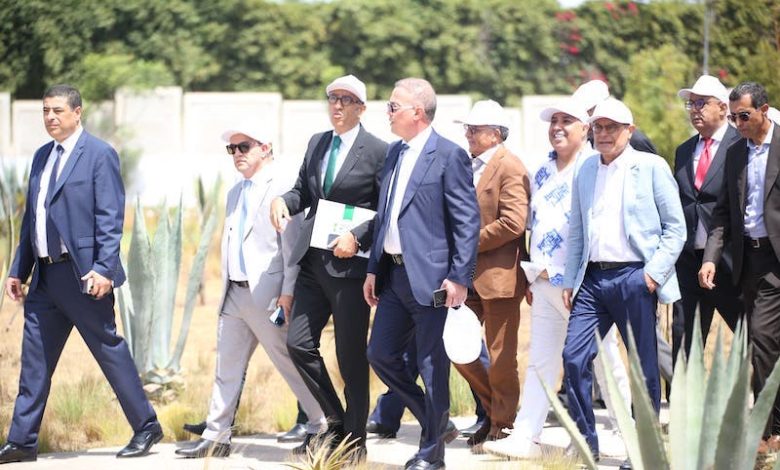 الزيات: تفعيل الشركة ينهي ديون الرجاء الزيات: تفعيل الشركة ينهي ديون الرجاء