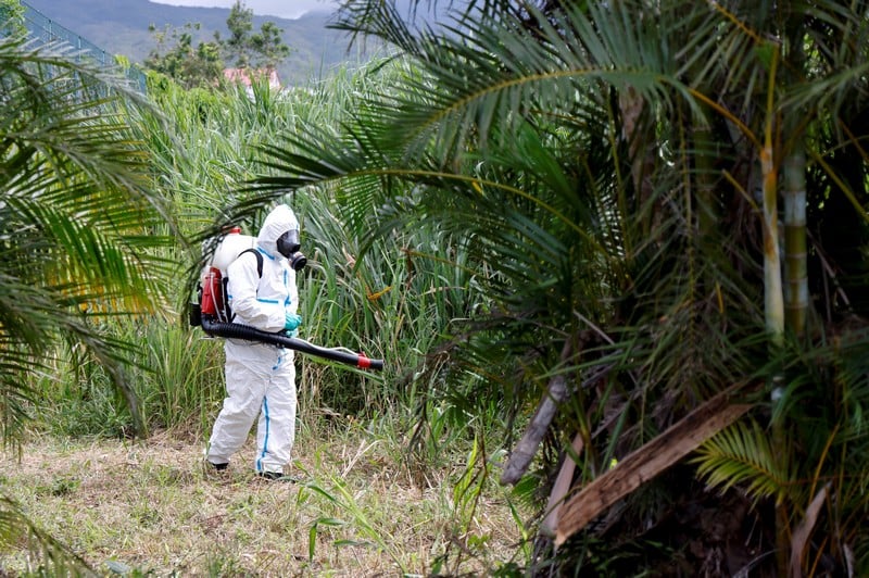 الصين تطلق أكبر حملة ضد شيكونغونيا الصين تطلق أكبر حملة ضد شيكونغونيا