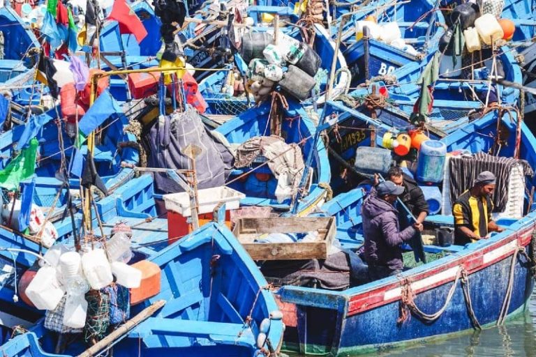 انخفاض مفرغات الصيد بميناء الصويرة
