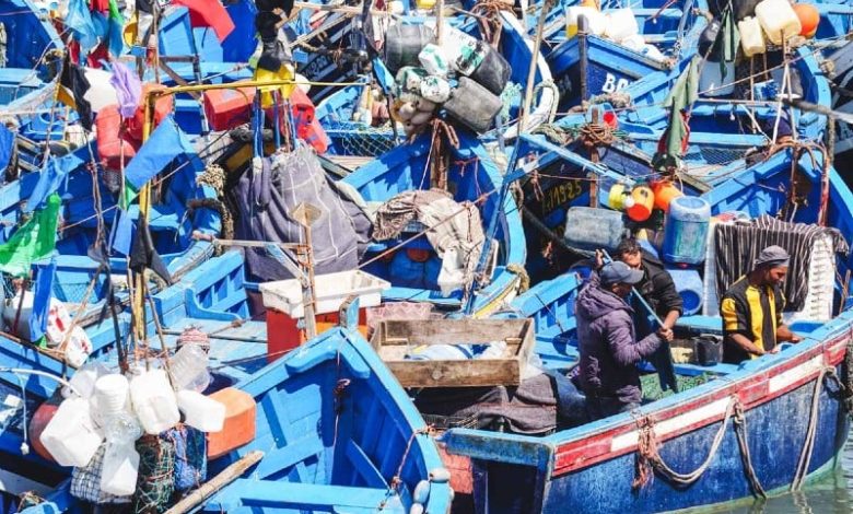 انخفاض مفرغات الصيد بميناء الصويرة