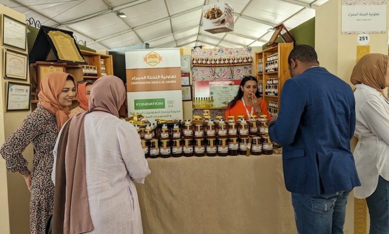 تأهيل "القطاع الثالث" يحقّق الإدماج الاجتماعي والتنمية المستدامة بالمغرب تأهيل