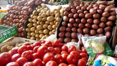 تراجع صادرات الخضر المغربية لإفريقيا يدفع الفلاحين نحو موريتانيا والسنغال
