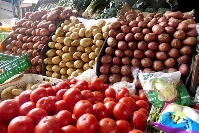 تراجع صادرات الخضر المغربية لإفريقيا يدفع الفلاحين نحو موريتانيا والسنغال