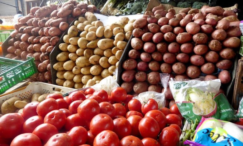 تراجع صادرات الخضر المغربية لإفريقيا يدفع الفلاحين نحو موريتانيا والسنغال تراجع صادرات الخضر المغربية لإفريقيا يدفع الفلاحين نحو موريتانيا والسنغال