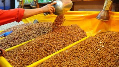تراجع في الإنتاجية .. تداعيات الجفاف تؤثر على سوق اللوز بالمغرب